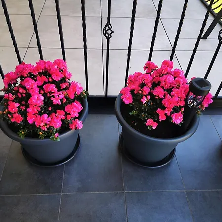 Apartman Gorski Potok Pl *